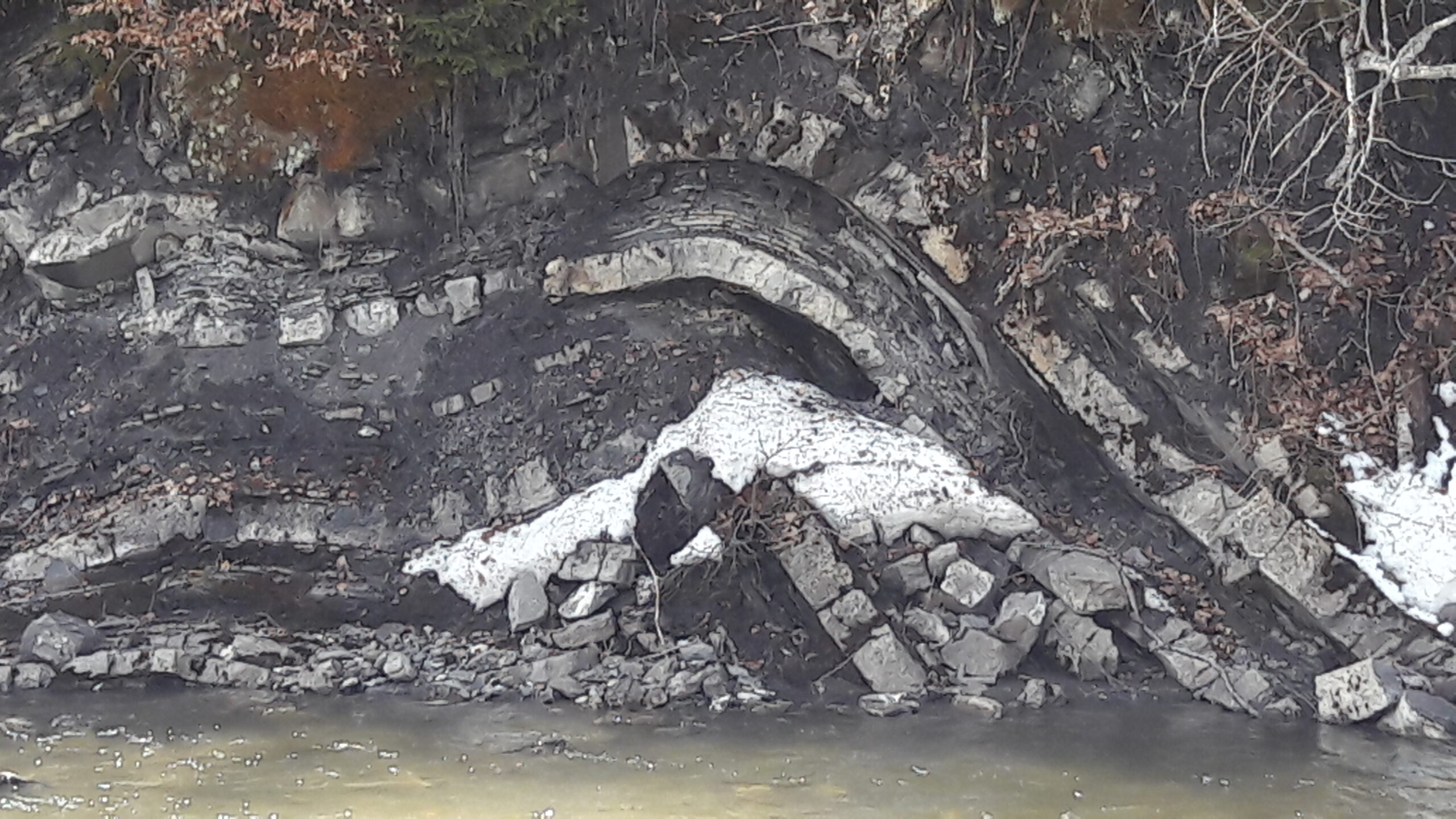 Aufschlussfoto: Verfalteter Flysch, Bolgenach