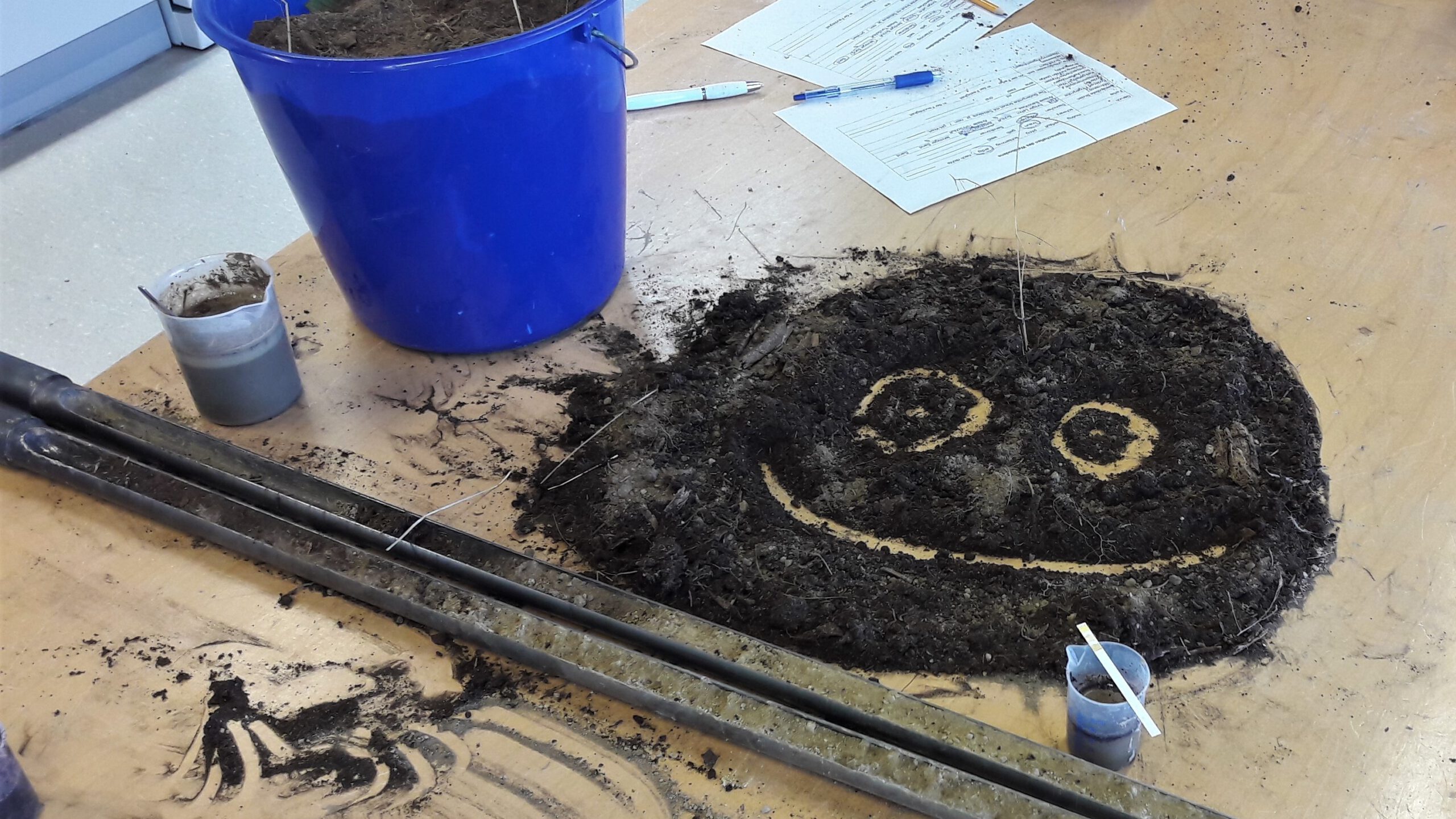 Bodenprobe als Smily