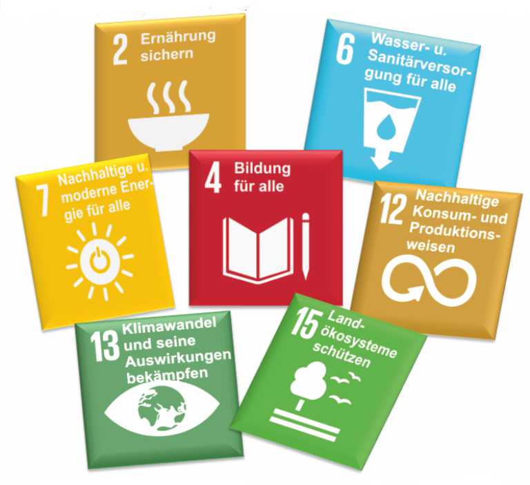 Ausgewählte Symbole der SDGs